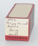 5AS4 Philips Miniwatt Australia Valve / Tube thumbnail 1